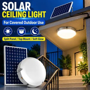 OEM ODM Modern LED Solar Ceiling Lamp 500W with Panel Battery Remote Control for Home Yard Shed Garage Lighting