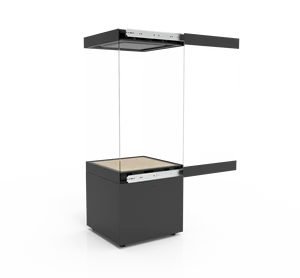 Lastronics Niche Style Museum Display Cabinet - Embedded Artifact Showcase