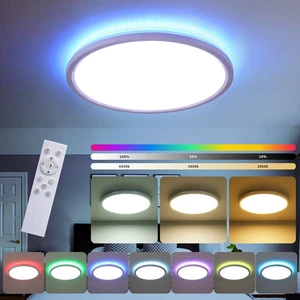 Ultra-Thin Modern Simple RGB LED Surface Mounted Ceiling Light Three-Proof Light with Remote Control for Living Room & Bedroom