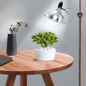 8.5 Inch Aluminum Reflector LED Clamp Lamp 150W E26 Socket 6 Foot 18/2 SPT-2 Cord 2 Pack 3500K Warm White IP33 3-Year Warranty