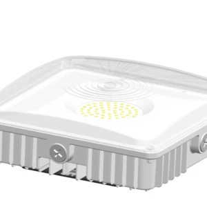 IP65 Waterproof AC100-277V 50W Led Downlight Gas Station Parking Garages LED Canopy Light