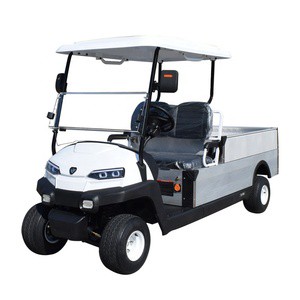 ZYCAR Brand New Muti-Color Electric Mini Pickup Truck For Farm Golf Car