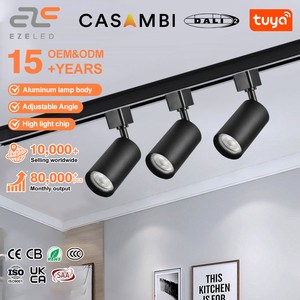 New Product for Mall Lighting and Decorating Aluminum Material 15/24/36 Angle Adjustable Led COB Track Light