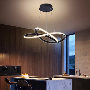 Modern 2 Rings Hanging Light Simple Hanging Decorative Led Living Room Acrylic Ceiling Ring Pendant Light