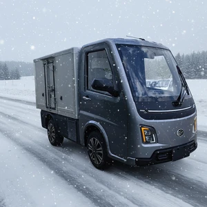 Electric Mini Pick up Truck Fast City Delivery