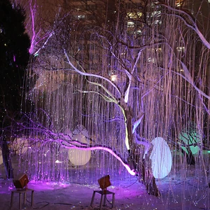 Newest Rgb Led Decoration Light Optic Fiber Led Holiday String Light Lighting Decoration