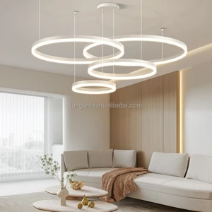 Customization Circle Curve Linear Suspended Aluminum LED Profile Ring Light For Indoor Use With Dimmable Feature