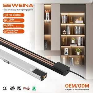 Good Quality Customizable Contact Type Durable Conduction Groove OEM Lighting System for Shelf Display Showcase