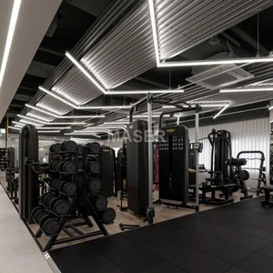 Garage Ceiling Lights for Workshop and Car Beauty Shop Gym Supermarket Aluminum LED Lights