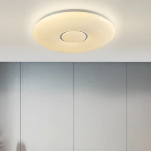 Contemporary Design Ceiling Lamp Home Decor Led Ceiling Light Lighting for Living Room Bedroom