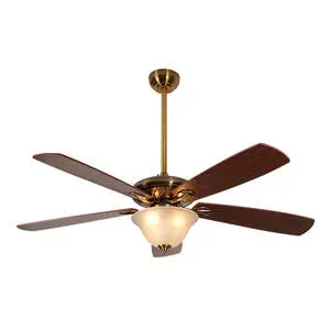 Ceiling Contour Lighting Fan with Remote Control 5 Blades & DC Motor LED Lights for Home Office Use Easy Project Installation