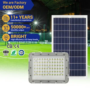 Hot Selling Wholesale Model Solar Floodlights 60W 100W 150W Outdoor Waterproof LED Solar Flood Light