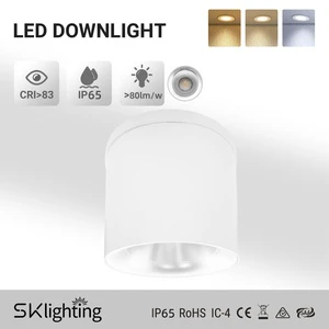 IP65 Surface Mounted Downlight SMD10W 13W 15W 3CCT 3Power Dimmable Die-Cast Aluminum Downlight Corridor Garden Hotel Spotlight