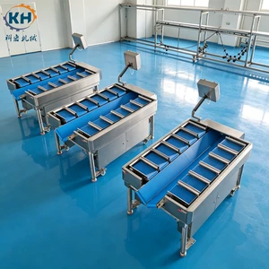 Production Line Upgrading Projects Pick High-performance Multi-station Combined Scale to Raise Overall Factory Output Value