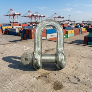 Galvanized D Shackle Straight Type U Shackle for Lifting Marine Rigging Hardware