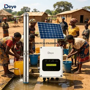 Deye 1.1HP 800W 4'' Solar Submersible Well Pump With Stainless Steel Body 100% Copper Wire Motor For Home Farm Livestock Garden