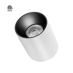 Master D IP65 Series LED Downlight Modern White Black Housing Lens COB CRI90 Pendant Light for Outdoor Canopy Airport Bathroom