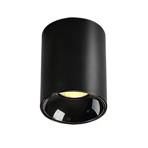 Aluminum LED Open-Mounted COB Spotlights 5/6/8 Inch 50/60/80/100W Project-Hole Free for Airport Hotel & Railway Stations