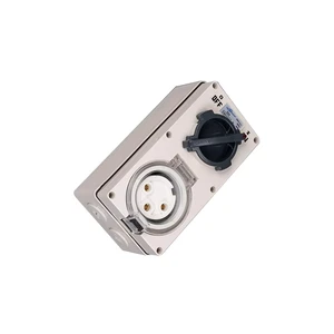 Australia Standard IP66 Industrial Durable Waterproof 32A 3-Pin Wall Socket Switch With LED Indicator