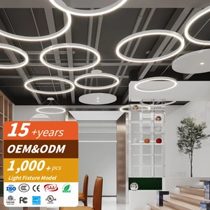 RONSE Modern Minimalist Snake Shape LED Curved Linear Light Creative Pendant For Office Supermarket Gallery Wall Aluminum Lamp