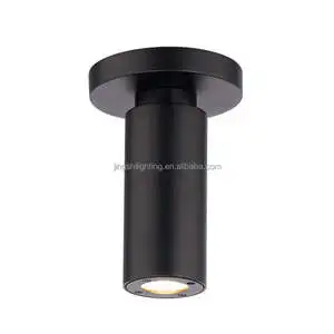 Hot selling industrial black metal low ceiling lamp for living room exhibition hall bar garden aisle decor brass spotlight