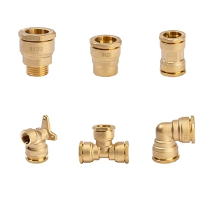 OEM Brass Connection Pipe Fittings DN20 DN25 DN32 Brass and Epdm O-Ring Brass PE Pipe Fitting for Pipe Connect