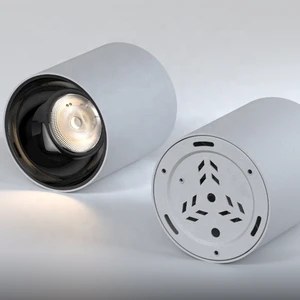CE RoHS IP65 Surface Mounted LED Commercial Downlight Wide Power Range 10W-100W 100-347V 0-10V Dimmable Cylinder Pendant Light
