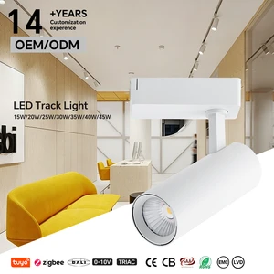 Commercial Dimmable COB Track Light High CRI CE SAA Approved Source Factory OEM Fixed Single Beam Angle Customization
