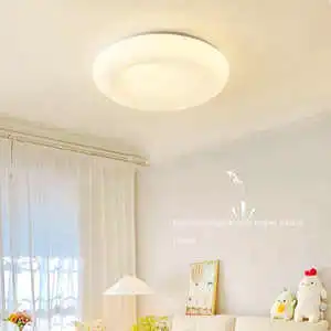 Modern Design Style Home Living Room Bedroom Decoration Nordic Creative Ceiling Lamp