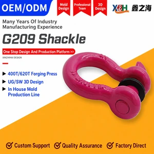High Quality Alloy Stainless Steel 304 Steel Hot Dip Galvanized D Shackle Bolt Type Bow Shackle Durable Rigging Lifting Shackle