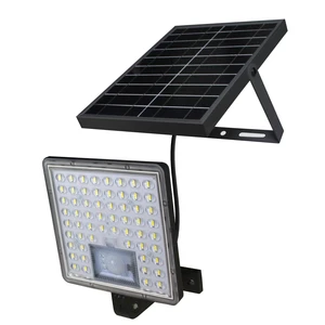 IP65 Waterproof Customized Outdoor Solar Floor Lamp and Solar Light