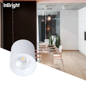 Black White Anti Glare Can Light 10w 18w 25w 35w 50w 60w Cob Ceiling Surface Mounted Cylinder Dali Dimmable Led Downlight