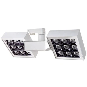 RONSE 2x40W SMD Led Track Light Modern Design Adjustable Beam Angle Exhibition Hotel Commercial Project White Aluminum