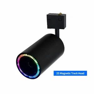 Magnetic Speaker Track Light LED Rail System 48V Music Sync Adjustable For Boutique Shop Studio Indoor Decor