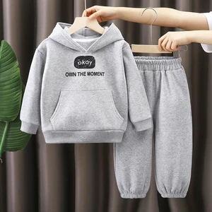 Two-piece Children's Long-sleeved Sweatshirt Set for Autumn and Winter, Solid Color Hooded Sportswear