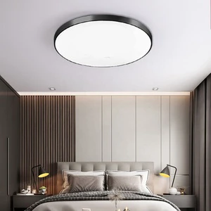 China Round Decoration AC 165-265V Led Ceiling Hanging Nordic Modern Pendant Lights