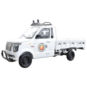 Chang Li High Quality 2 Seater Mini Electric Car Pickup Truck Automatic Small Pick up Trucks