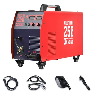 Portable 110V/220V High Power DC Inverter IGBT MIG Welding Machine for Steel and Cast Iron 250A DANENG MIG-250