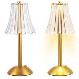 Rechargeable LED Table Lamp with Iron Base Transparent PP Lampshade Type-C Cordless Bedside Light for Bedroom