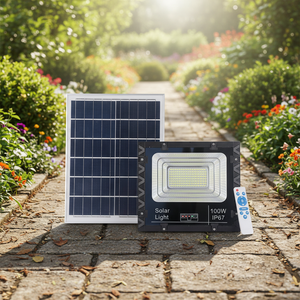 Factory Direct Pricing 30W Solar LED Flood Light IP65 for Garden Road & Landscape Outdoor Use