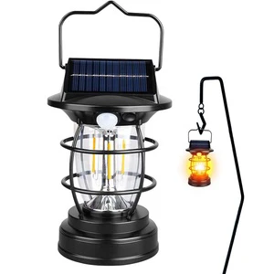 Vintage Solar Powered Induction Light