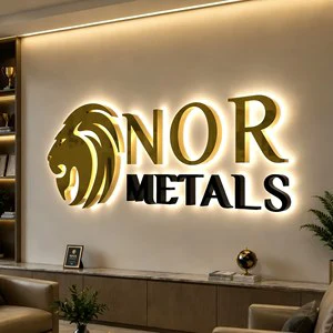 Custom 3D LED Channel Letters Stainless Steel Backlit Sign Acrylic Halo Lit Logo Outdoor Waterproof Illuminated Business Signage