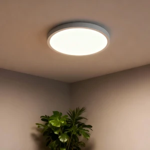 Low Profile Surface Mount Ceiling Light 5 inch Edgelit Technology Slim Design Dimmable for Kitchen and Bathroom