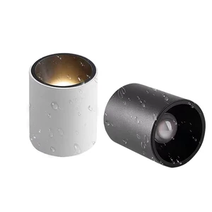 Morden 10W 20W LED Antiglare Cylinder Downlight Surface Mounted IP65 Cob Outdoor Ceiling Spot for Modern Home
