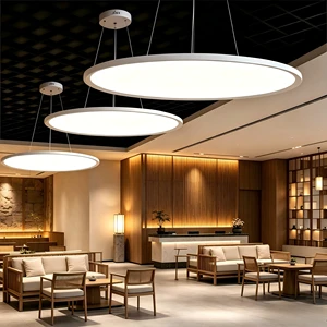 Modern LED Linear Hanging Lamp Ceiling Lighting Black Circle Chandelier Ring Pendant White Metal Shade Durable 60W 3000K-6000K