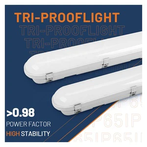 Brandon IP65 Waterproof LED Linear Tri-Proof Lights 40W & 60W NSF Certified for Warehouse Parking Lots & Food Processing Plant