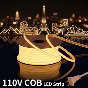 Led Strips Light Copper ROHS 110V Voltage IP68 Waterproof COB Flexible Plug Outdoor Building Contour Lighting
