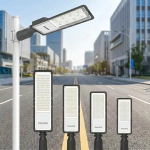 Durable Die-cast Aluminum IP65 Outdoor Modern Urban Public Road Lighting 20w 30w 50w 70w 80w 100w Philips LED Street Light