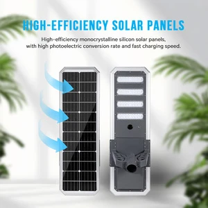 Type D the Best Solar Light Commercial & Municipal Project Solar Street Light with Factory Price