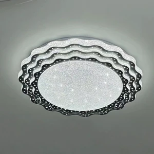 24W Modern Decoration Surface Mounted Lamps Acrylic Home Decor Ceiling Pendant Ceiling Lamp Led Ceiling Light